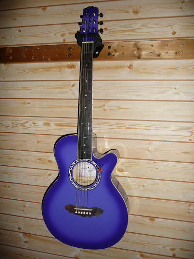 アコギ Gypsy Rose おしゃれでかわいいギター