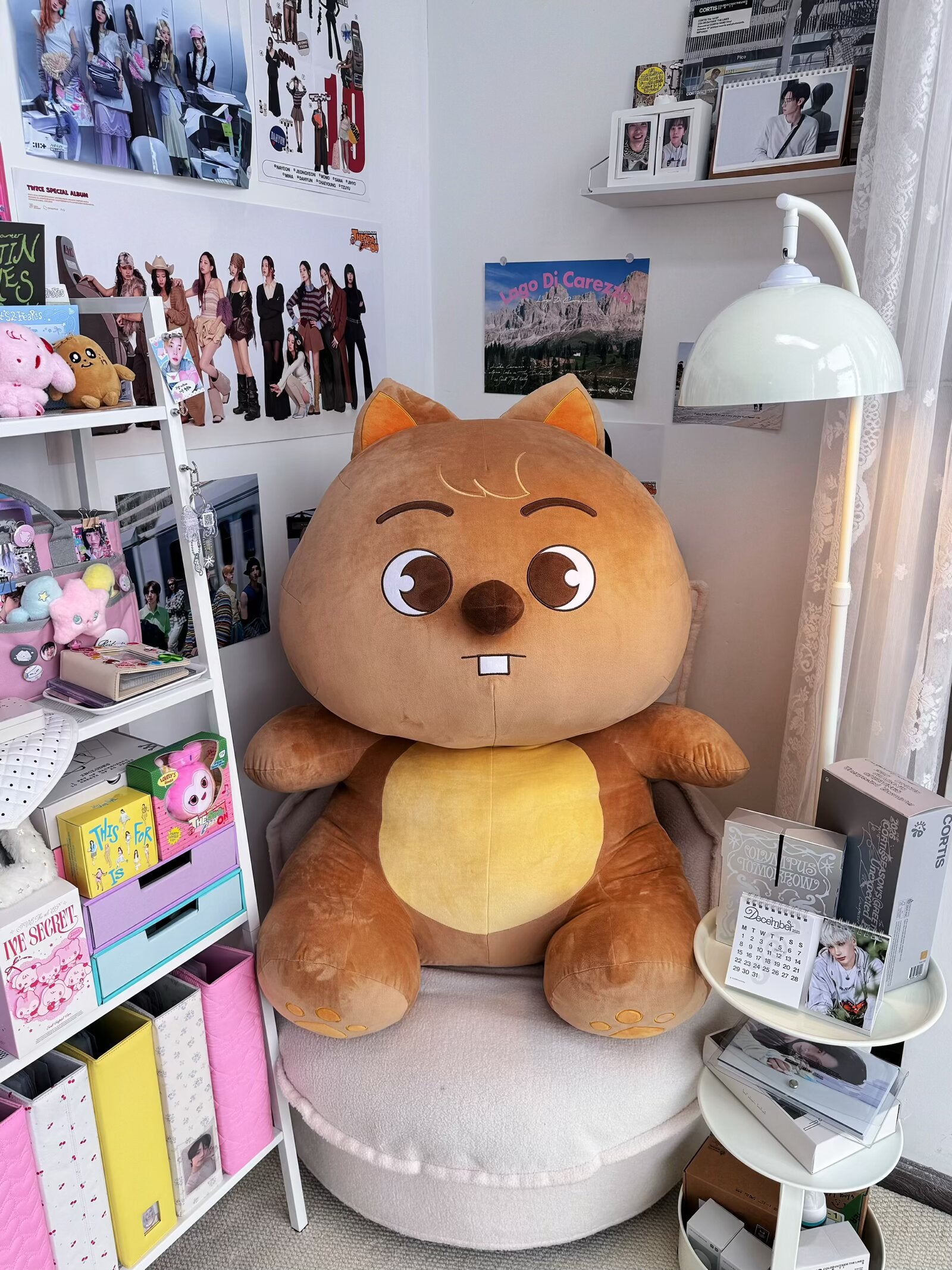 GIANT HAN QUOKKA PLUSH 3 FT (1M) TALL – Mandu Deco