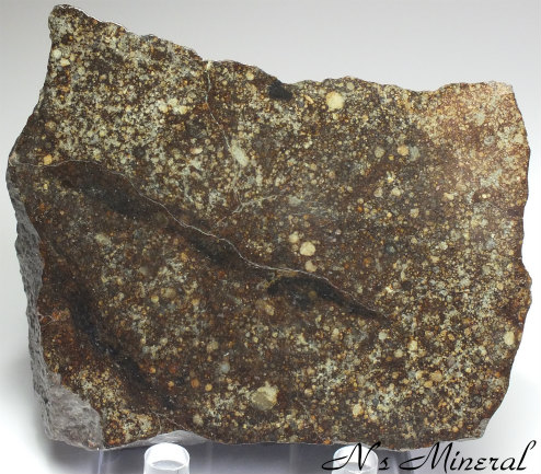 隕石標本 普通コンドライト