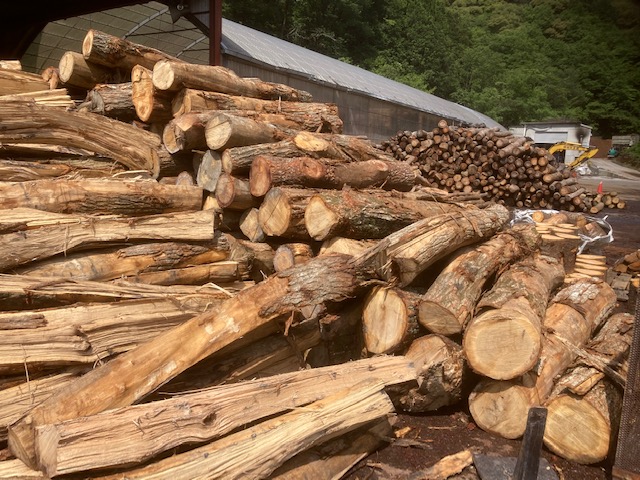 広葉樹丸太の集まるところ②* 森のかけら ｜ 大五木材