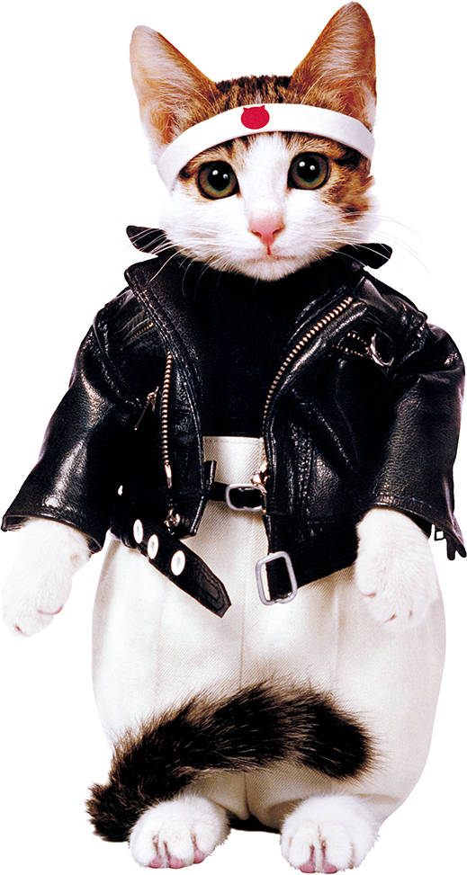 会社概要 | なめ猫～なめんなよ～公式Webサイト