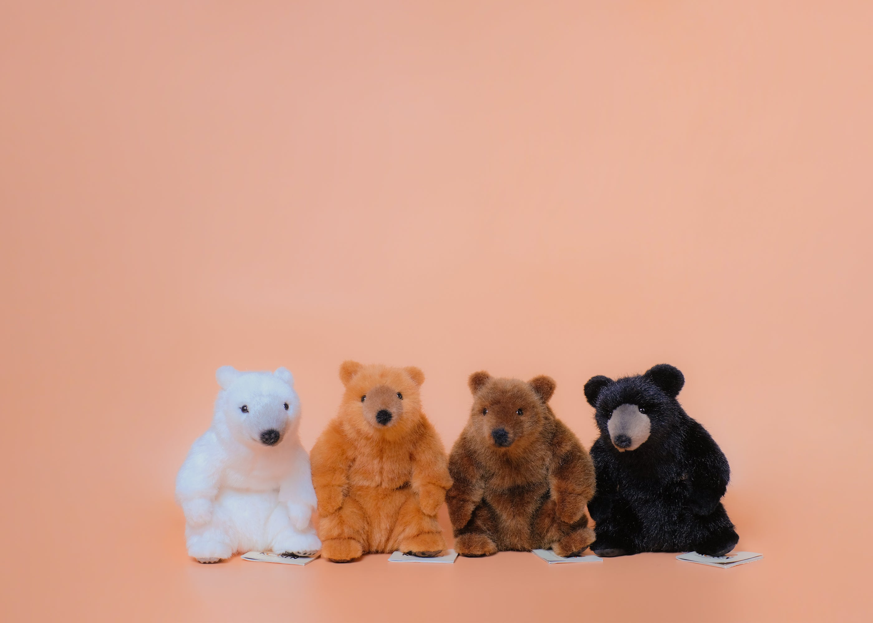 お座りベア – niiiwa