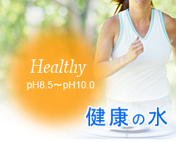 美人水（アルカリイオン水、酸性イオン水、衛生水、洗浄水）の生成器