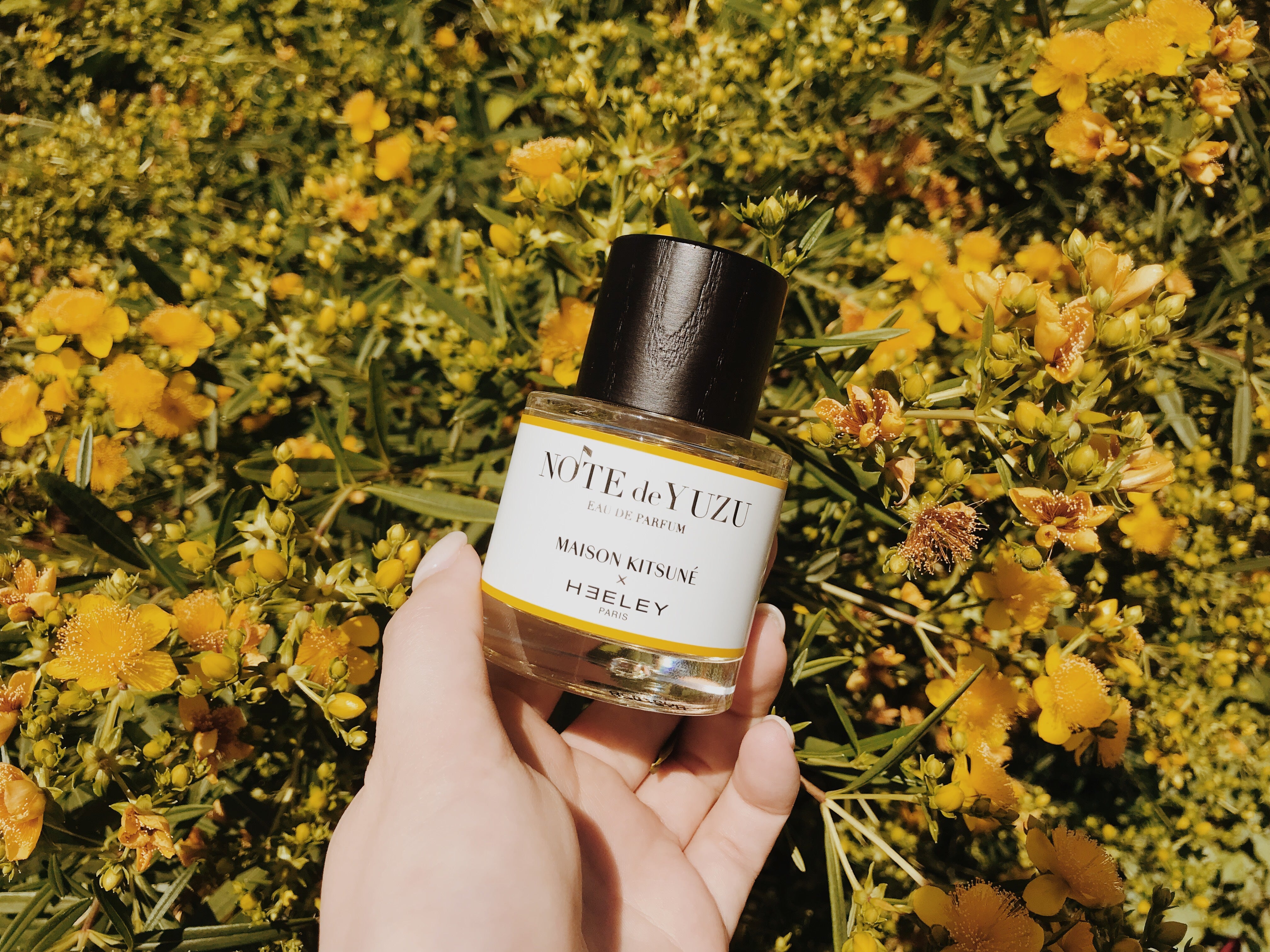 あの“HEELEY（ヒーリー）”がNOSE SHOPに仲間入り！ – NOSE SHOP