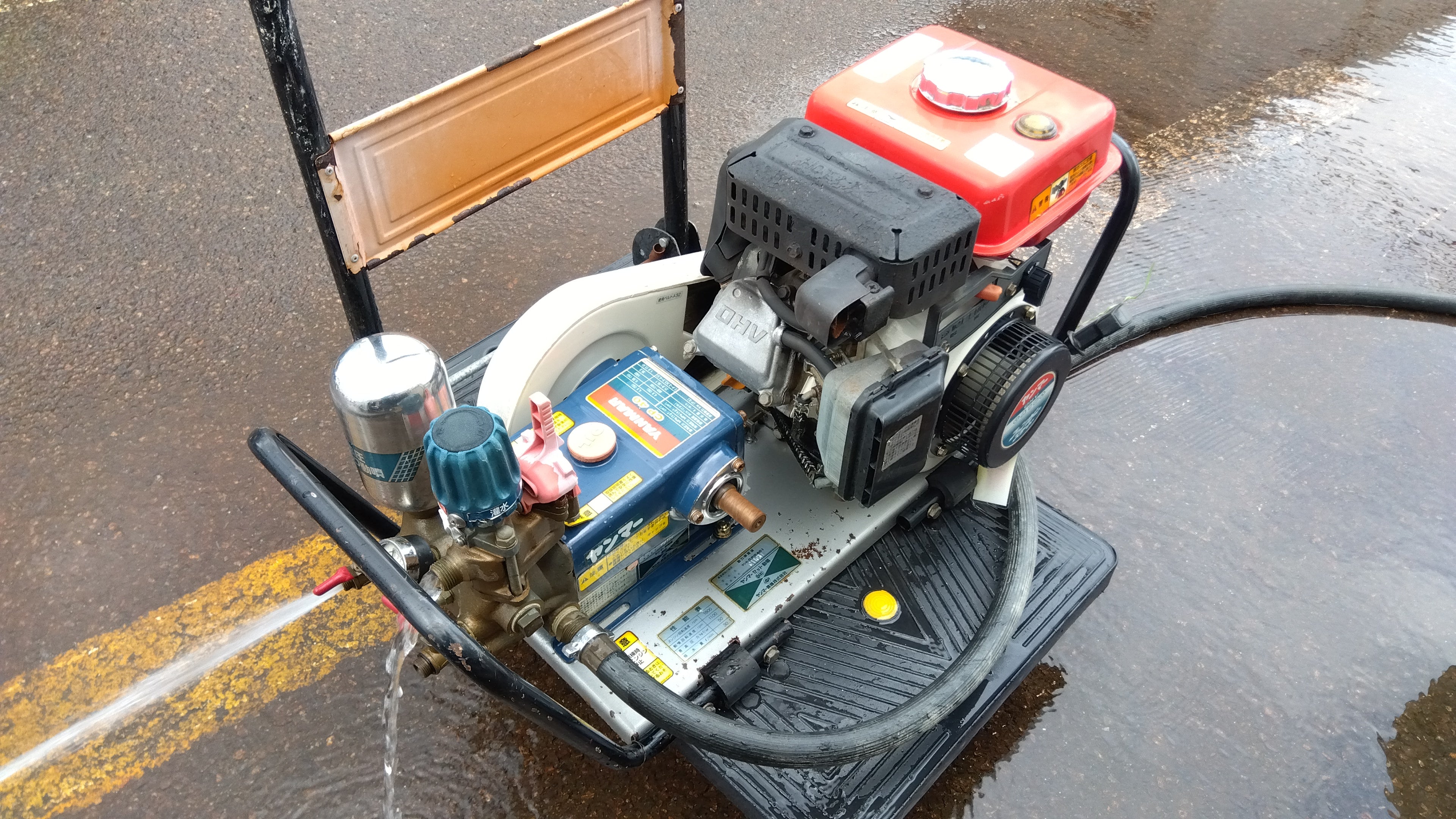 IMG_2025-04-07-13-30-49-145.