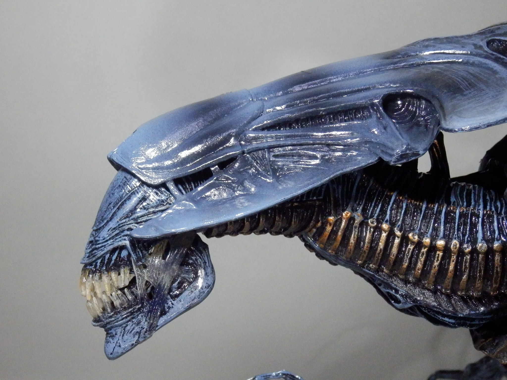 レビュー:NECA エイリアンクイーン | オタクin東毛