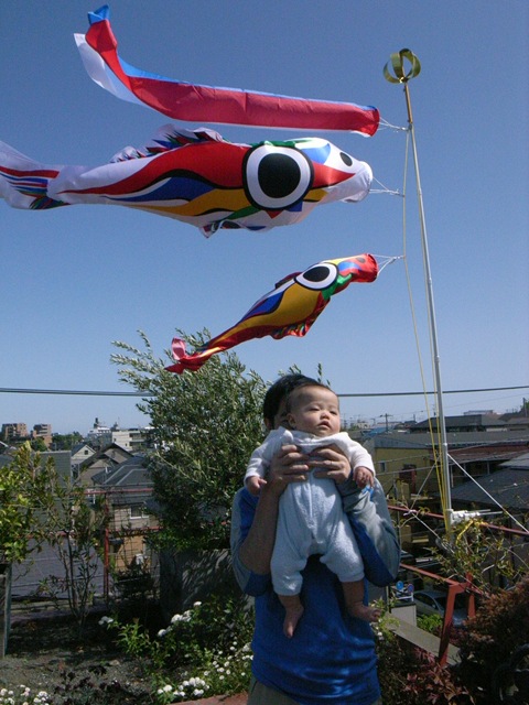 岡本太郎鯉のぼり | 岡野博行 Website