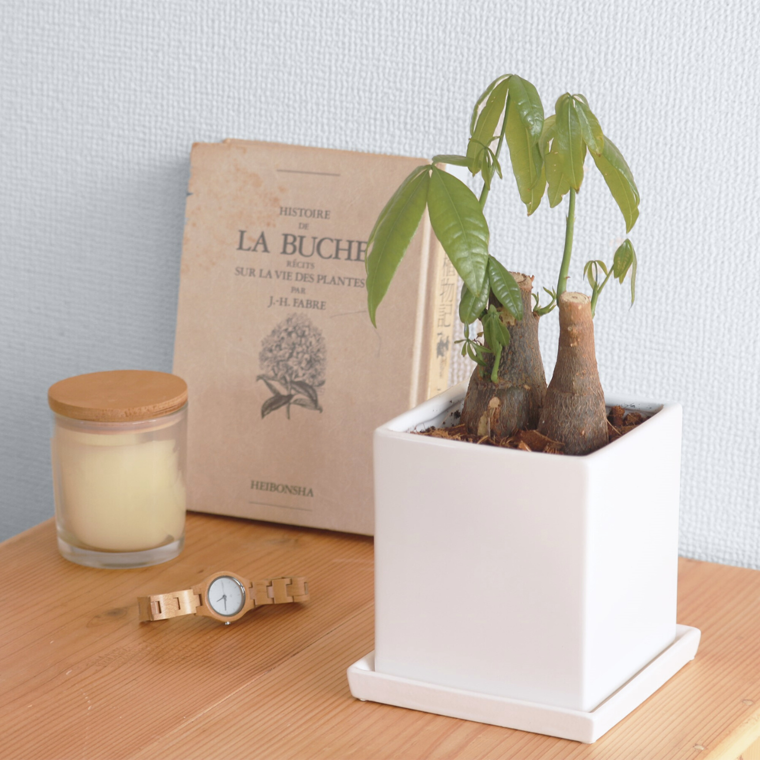 かっこいい植木鉢｜卓上サイズ｜白色,黒,赤,ダークグレー,ライトグレー