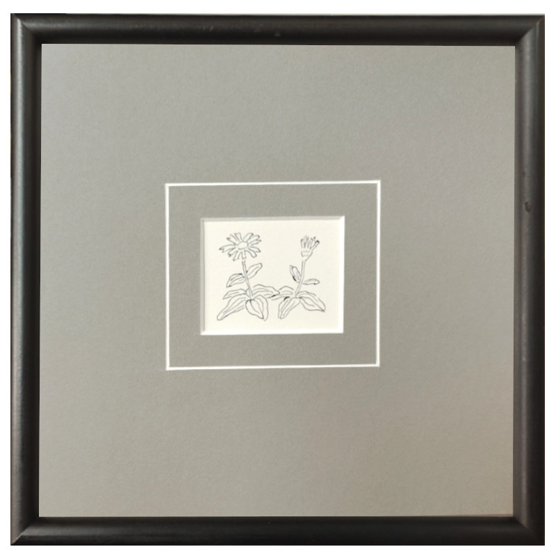 北海道札幌 絵画 販売 蒼い画廊(あおいがろう） 水彩・水墨・パステル