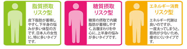 肥満遺伝子って？？？ | ARC-Labo.(アークラボ) スタジオアーク