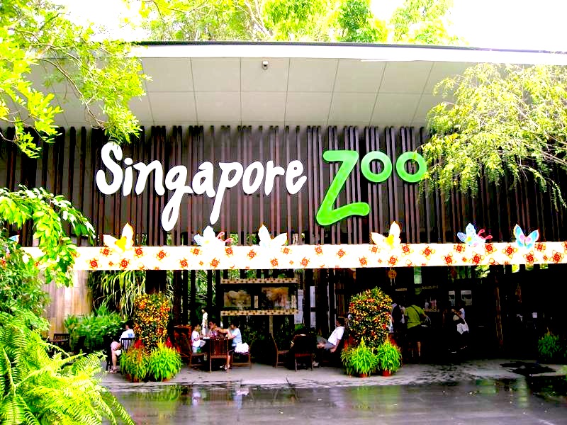 シンガポール動物園を熱烈ガイド☆Singapore Zoo | アジアのきらめくホテル