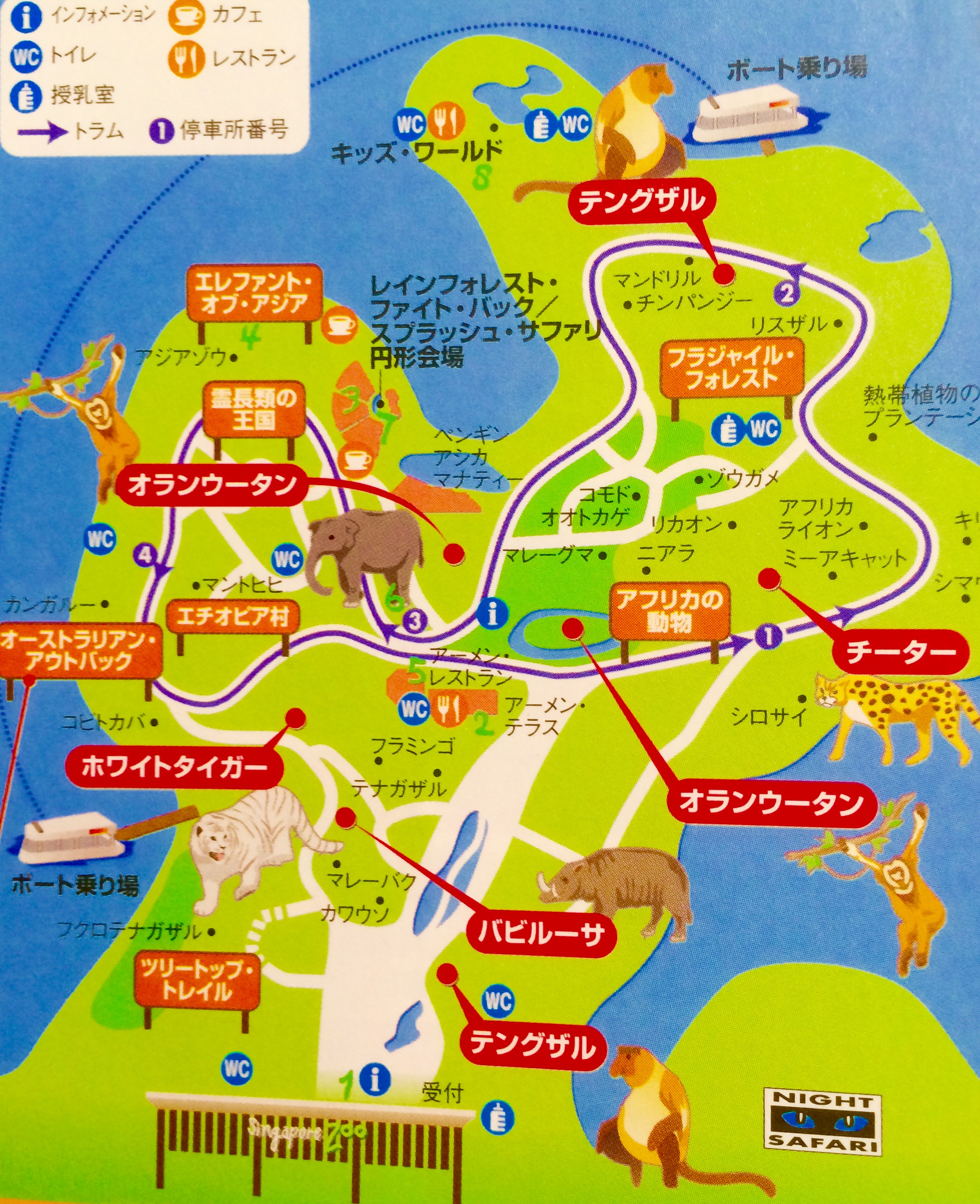 シンガポール動物園を熱烈ガイド☆Singapore Zoo | アジアのきらめくホテル