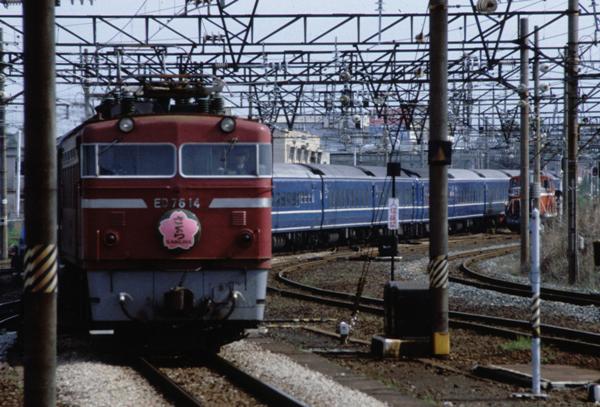 1975/1 名古屋へ 1 客車列車 その1 寝台特急「さくら」その2: B767-281