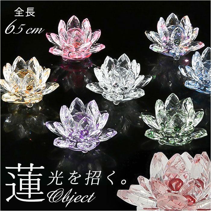 白牡丹の花飾りのリビング 白牡丹の花飾りのリビング 白牡丹の花飾りの