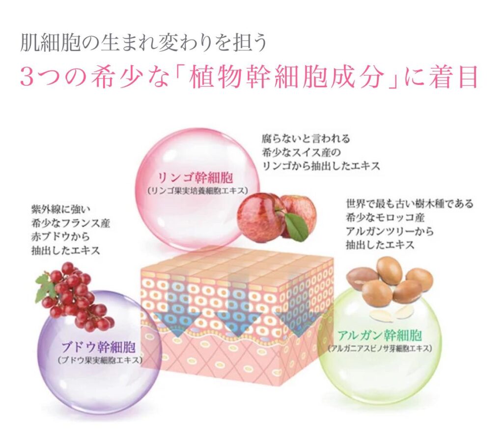 ハーブピーリング REVI【ルヴィ】 陶肌トリートメント - Mokuna beauty