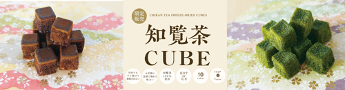 新商品 フリーズドライ知覧茶CUBE｜鹿児島 お茶の美老園