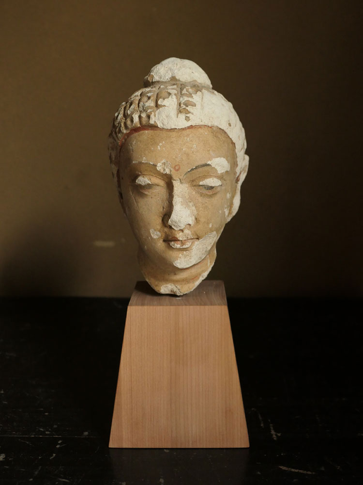 高IA720 ハッダ頭部残欠その3（4～5世紀） 仏教美術 4～5世紀