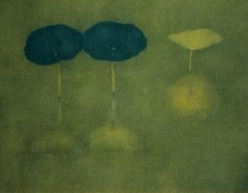 神泉の「仔鹿」が見たい！ - いつもここにいるよ