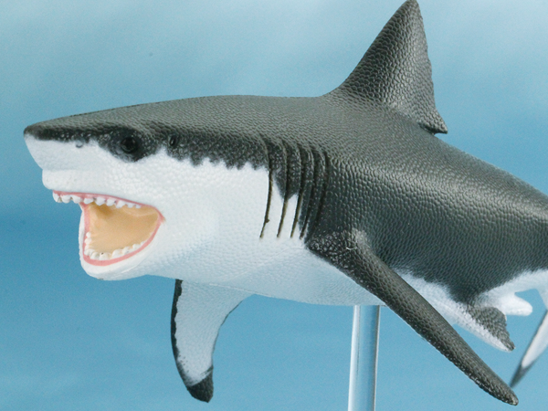 SHARKS OF THE WORLD シャークス オブ ザ ワールド | BRANDS