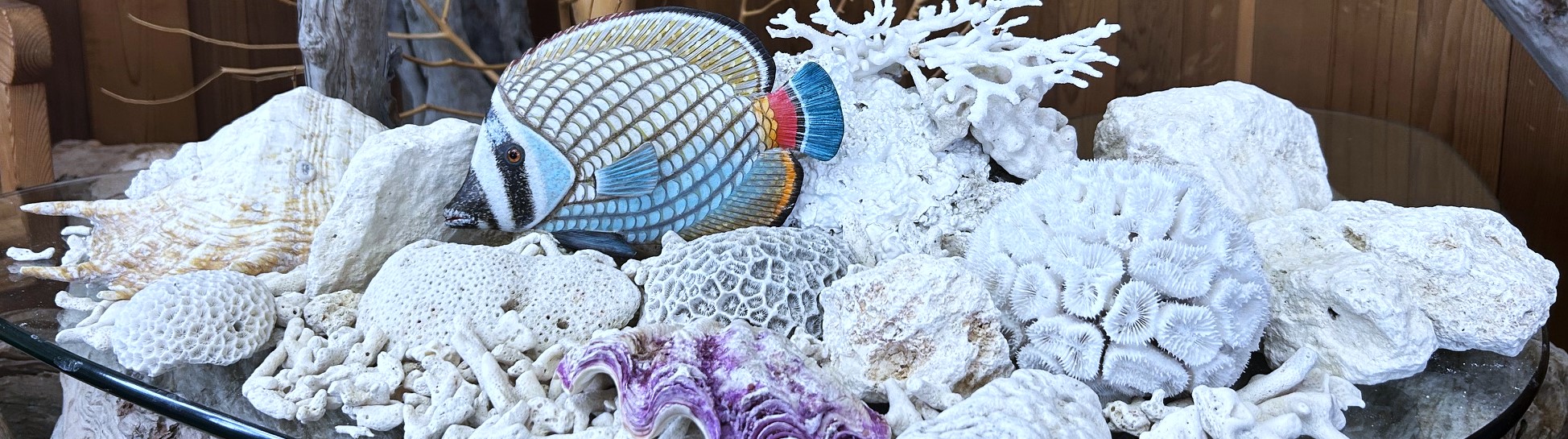 コーラルストーン ノーム - 南の島を演出するサンゴ礁のガーデン