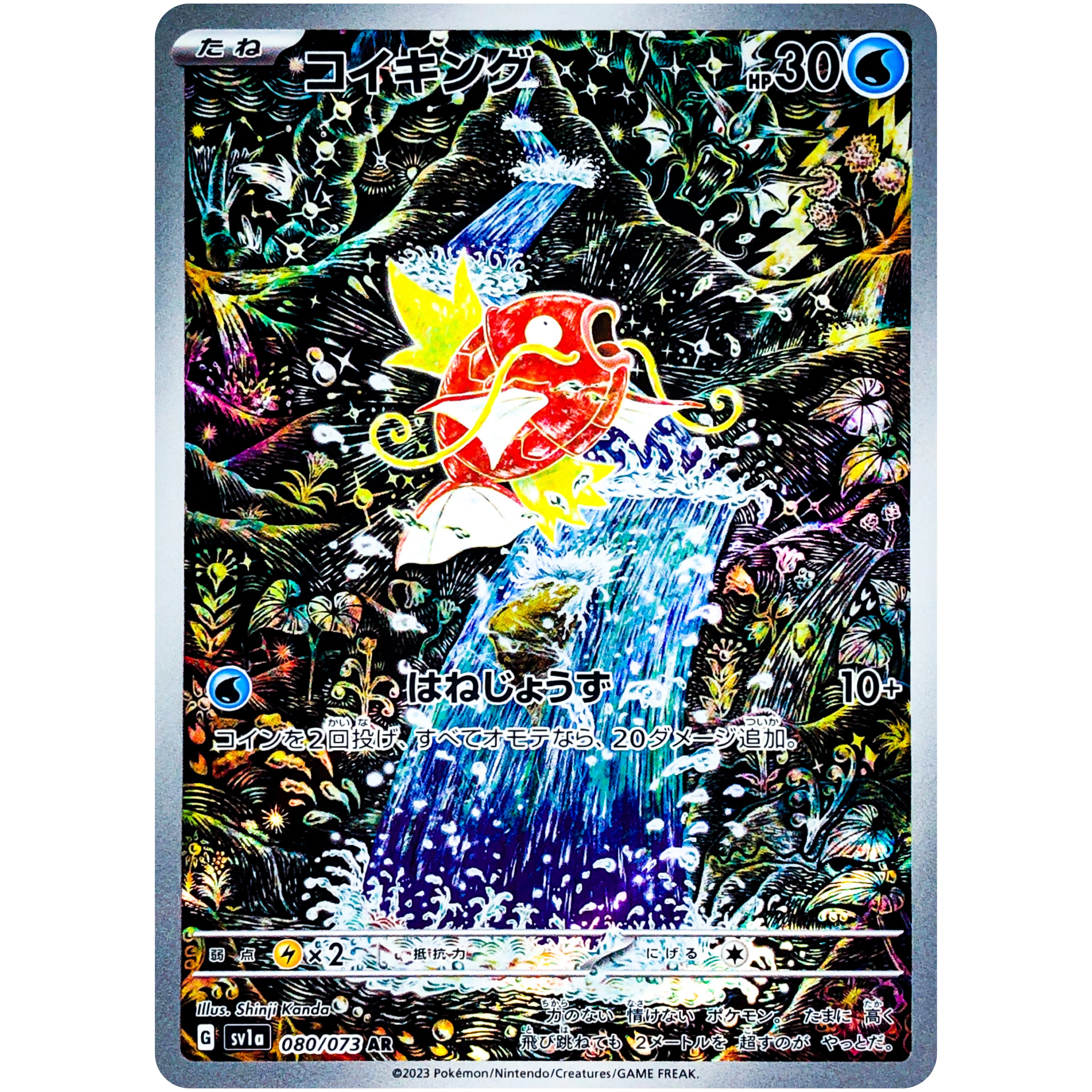 SV1a080073.jpg?v=1751052801