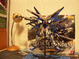 息抜きに！ MG フリーダムガンダム エクストラフィニッシュバージョン