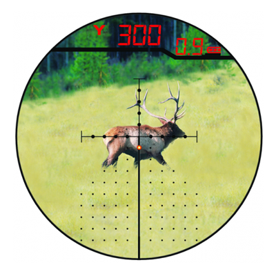 サバゲーの実物装備の通販サイト デザートカウボーイ / Burris 4