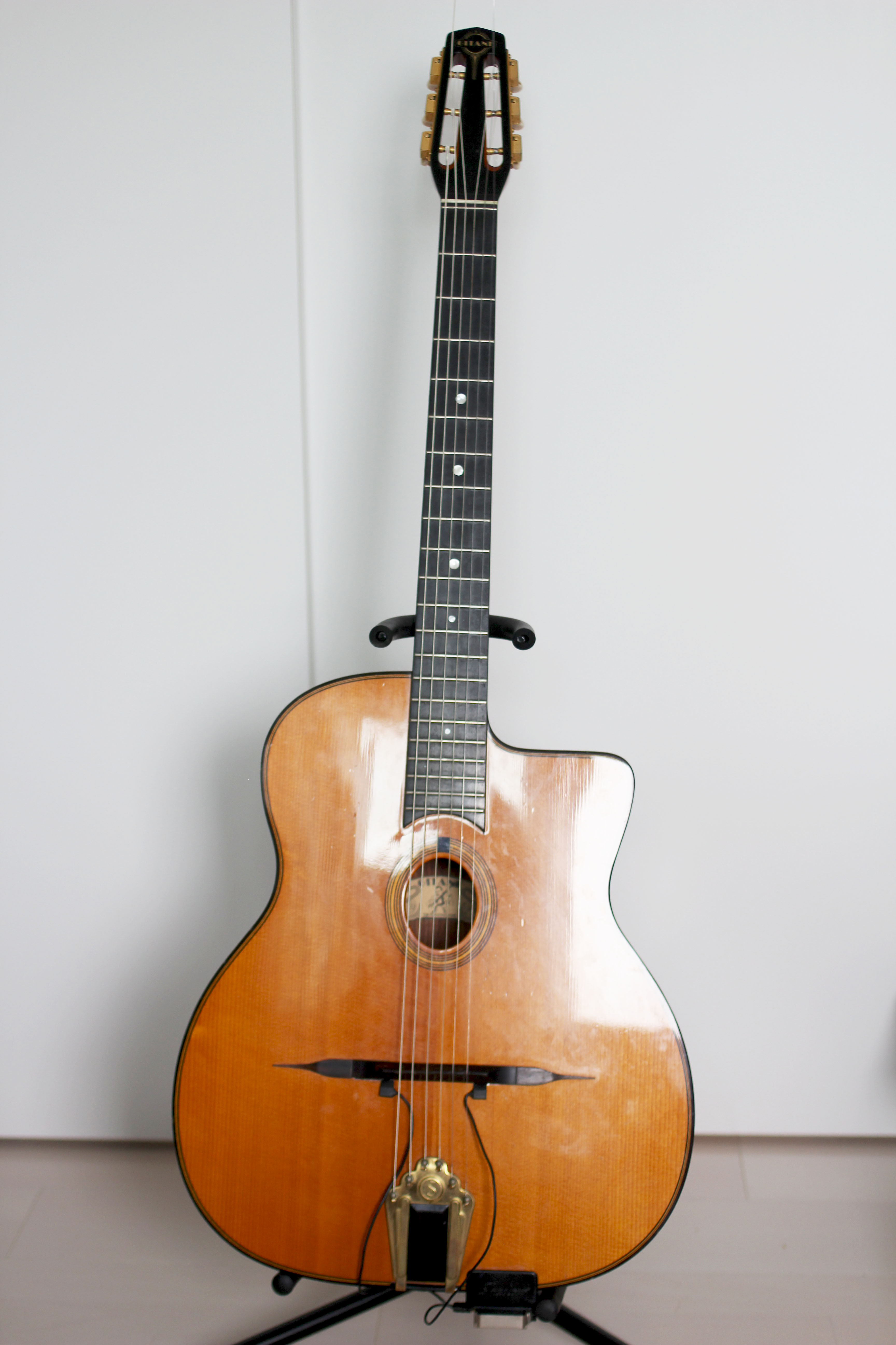 マカフェリギター | イガケンのLife is a Joke