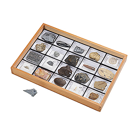 示準化石標本｜ヤガミ 商品検索システム