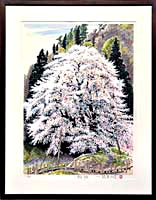 シルク・カレンダー