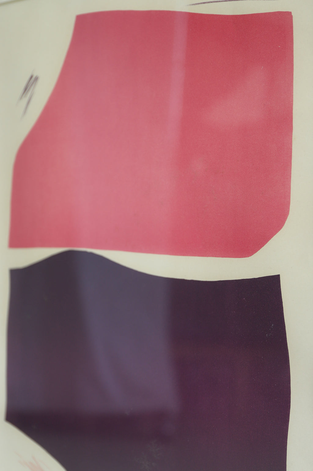 2IMG_9021_1024x.jpg?v=1713868201