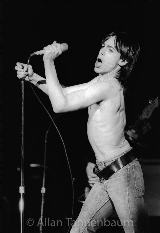 イギー・ポップ - パラディアム、NYC - 1977年」【写真家 アラン