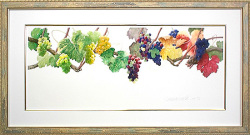 玉村豊男【ブドウの時間】 リザーブ ガレリア・フランジェリコweb