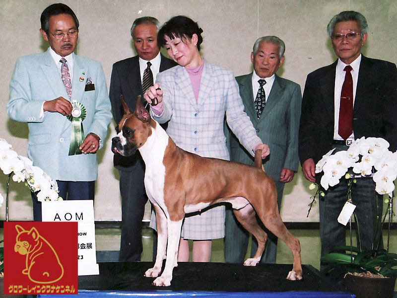 歴代チャンピオン犬 | フレンチブルドッグとボクサー犬専門のグロワー