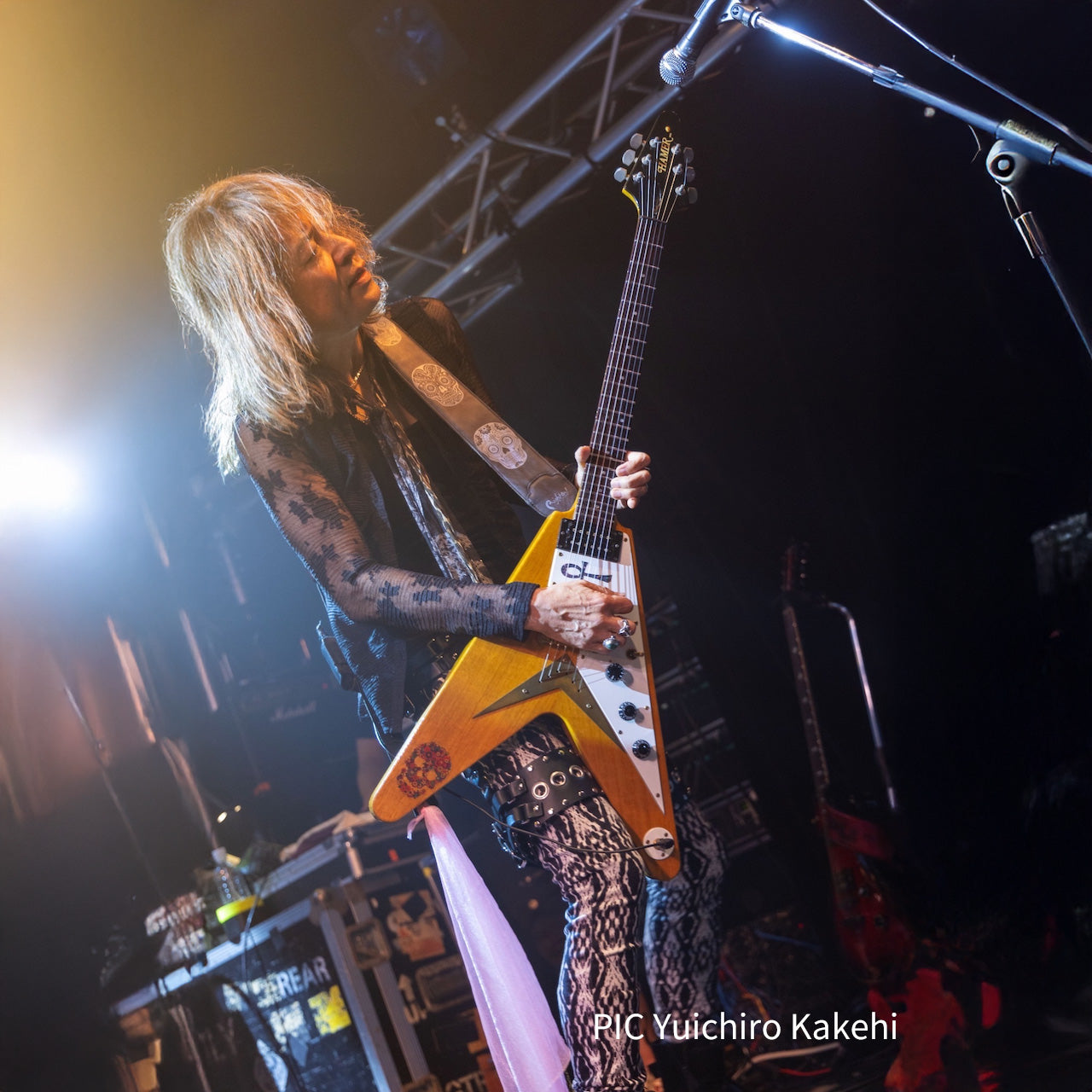 IMG_9139.jpg?v=1743138939