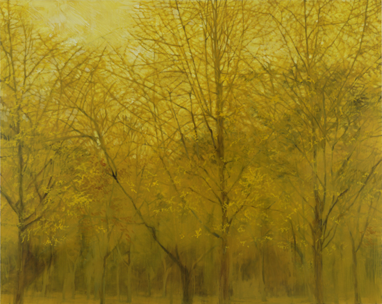 児玉靖枝 展〈深韻—風の棲処〉 KODAMA Yasue Exhibition 2012.10.4