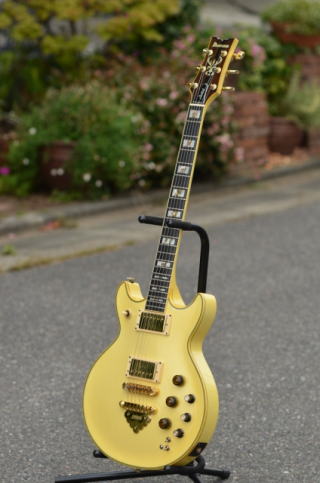 Ibanez AR550PW