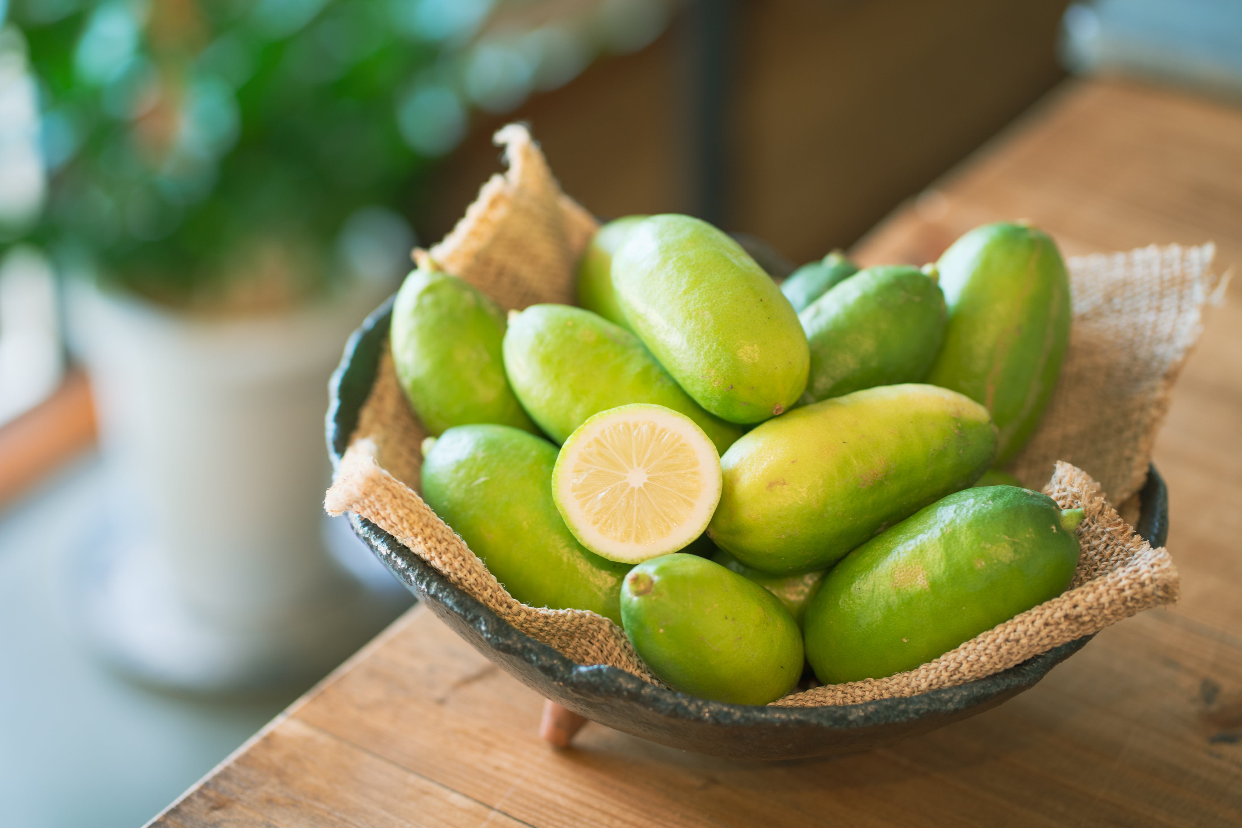 石垣島産パキスタンレモン – Garden Pana