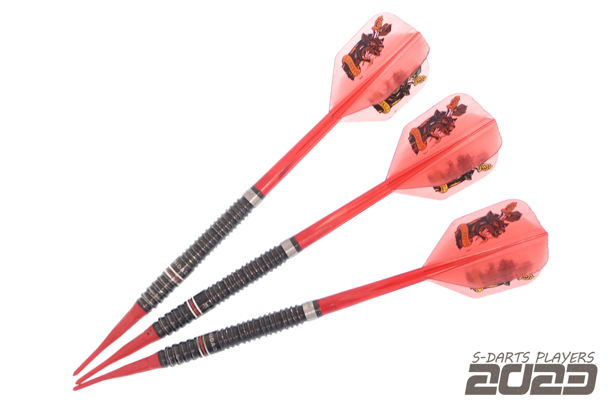 S-DARTS PLAYERS 2023│山田勇樹