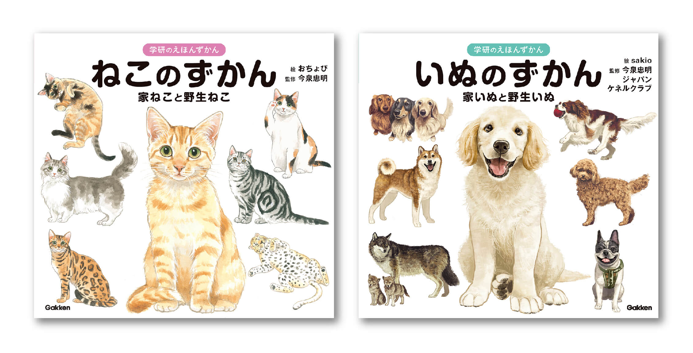 ねこ好き・犬好き必見!『ねこのずかん』『いぬのずかん』予約受付中