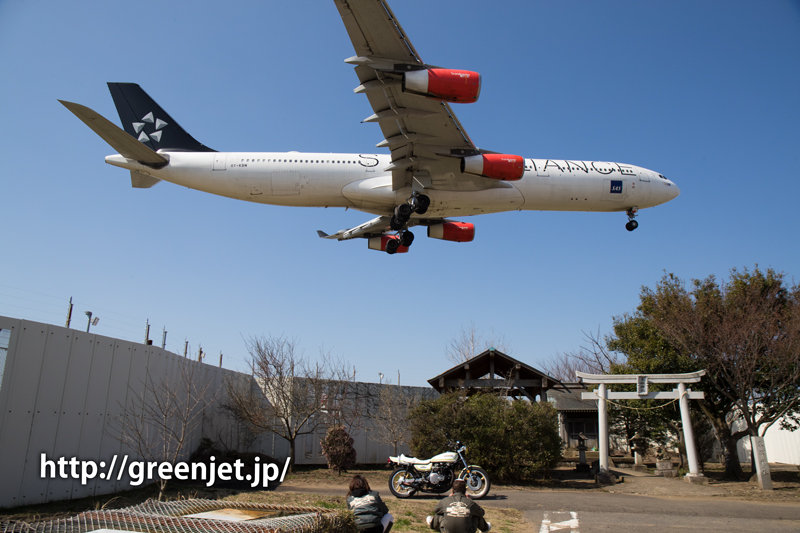 スカンジナビアのエアバスA340＠成田 | MGT Greenjet 飛行機撮影記
