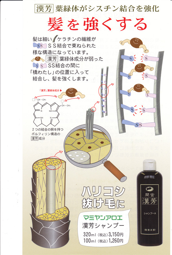ハリ・コシ・抜け毛 漢芳シャンプー