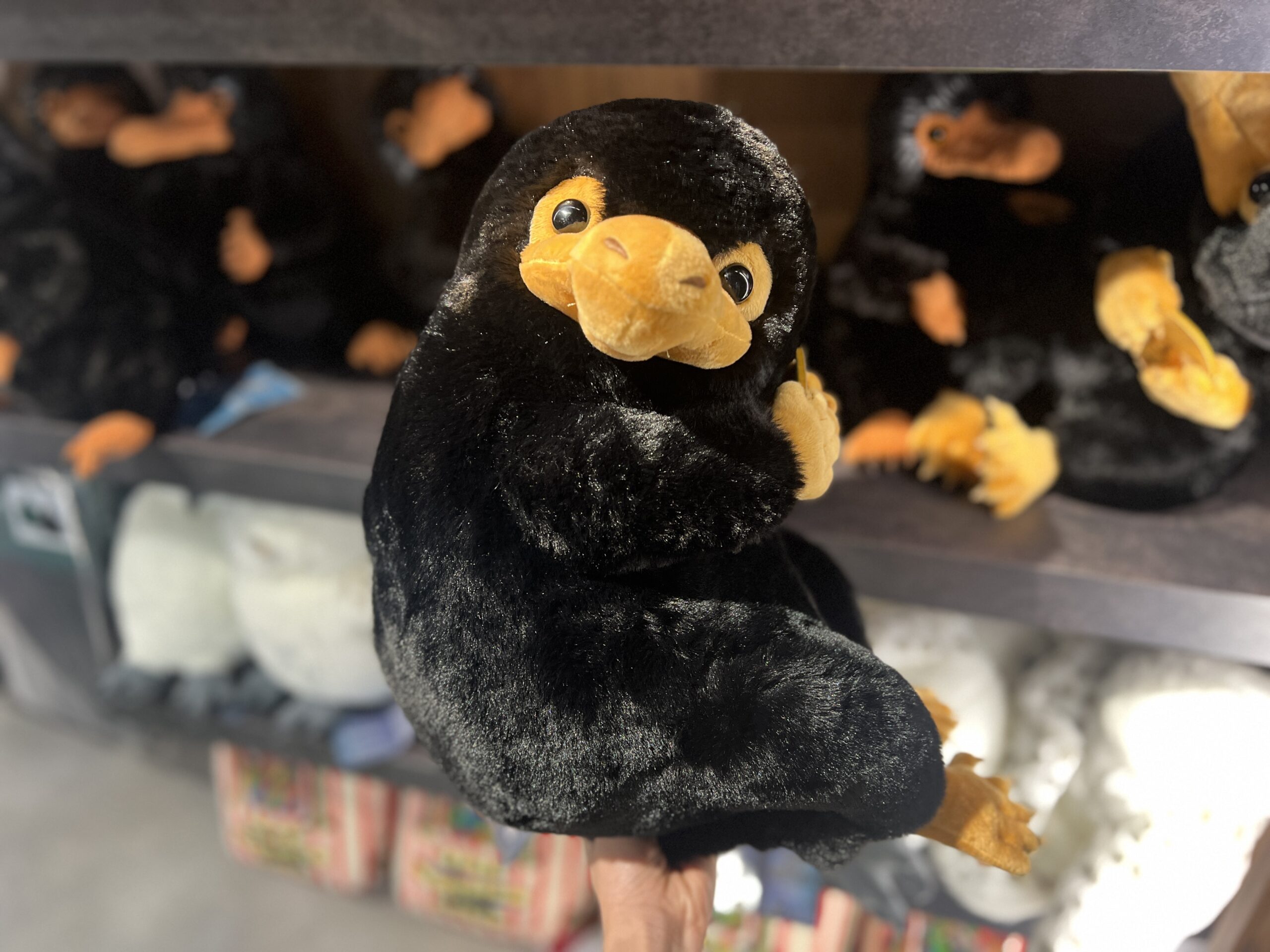 二フラーグッズ マロウド&USJ USJグッズ】ファンタスティックビースト