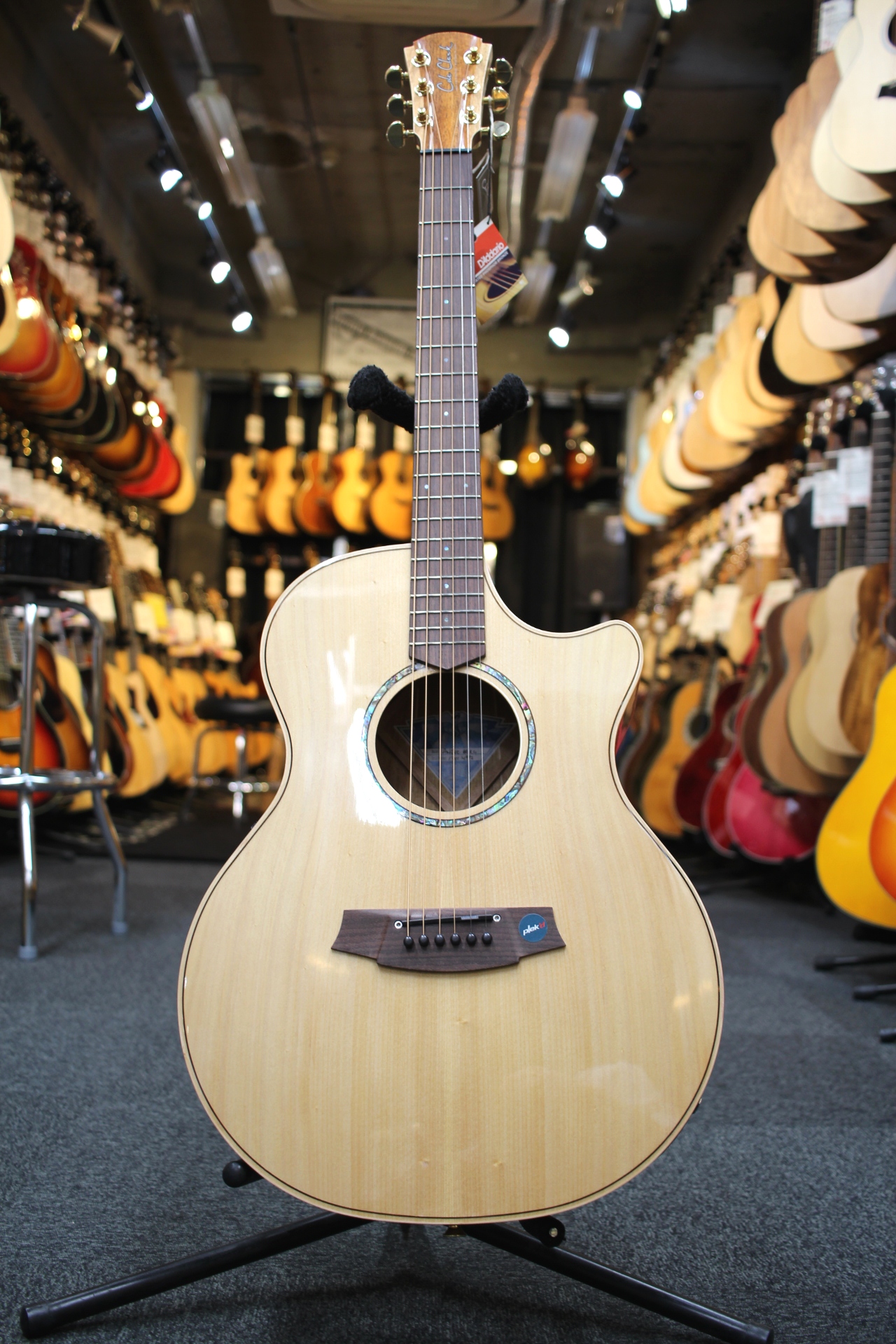 ColeClark通信その19：コールクラーク新入荷！グロスモデルの