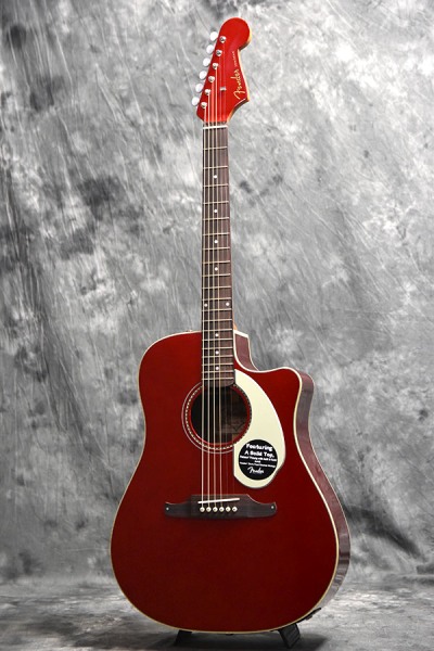 ジャーニーマンの夢 ＃010 フェンダーアコースティックSonoran