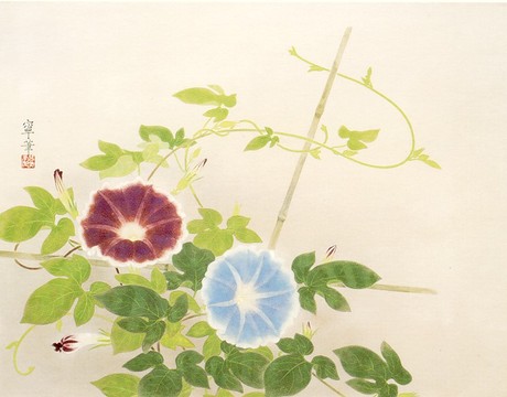 日本画満開～牡丹・菖蒲・紫陽花・芥子～: いづつやの文化記号