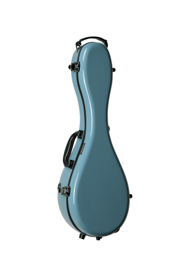 アランフェス マンドリン ハードケース | イケガク