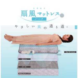 チェストベッド