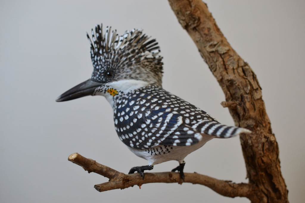 バードカービング No.4ヤマセミ | Hihajiのモノづくりざんまい