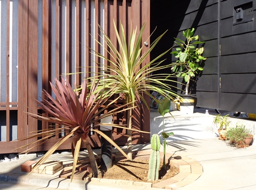 ドライガーデン | ヤシの木南国リゾートの庭 COCOS GARDEN*